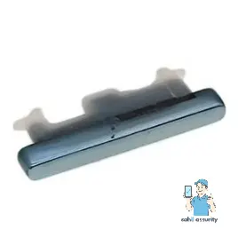 Power Button Outer for Vivo V15 Blue